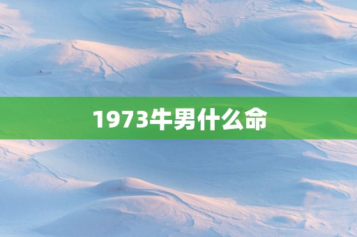 1973牛男什么命