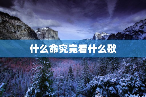 什么命究竟看什么歌