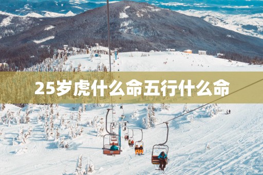 25岁虎什么命五行什么命