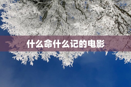 什么命什么记的电影