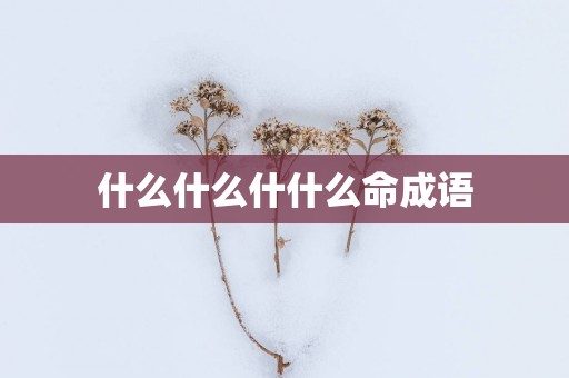 什么什么什什么命成语