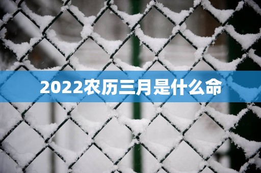 2025农历三月是什么命
