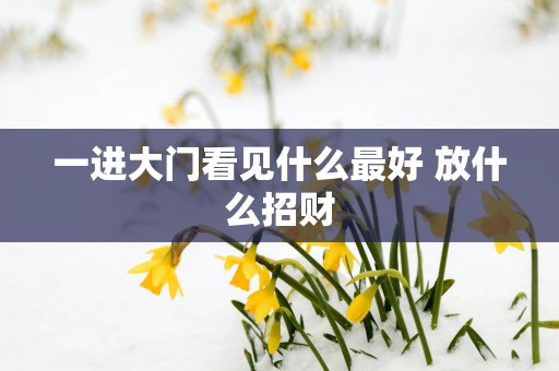 一进大门看见什么最好 放什么招财