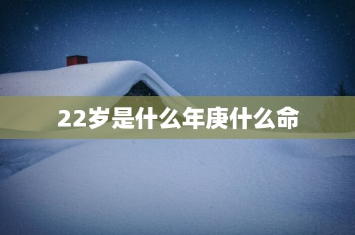 22岁是什么年庚什么命