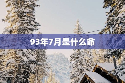 93年7月是什么命