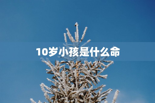 10岁小孩是什么命
