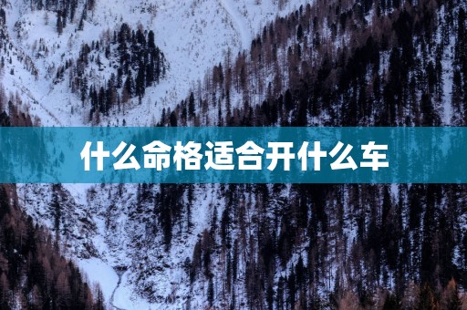 什么命格适合开什么车