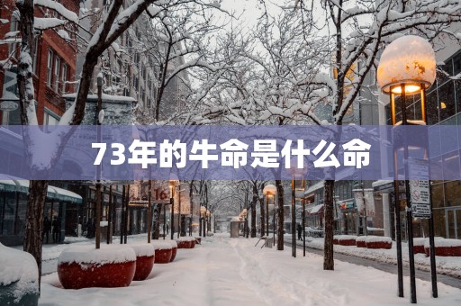 73年的牛命是什么命
