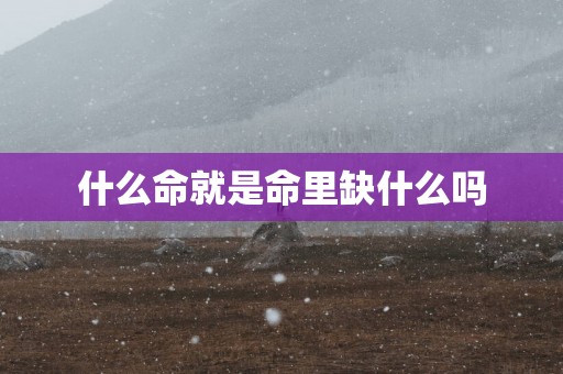 什么命就是命里缺什么吗