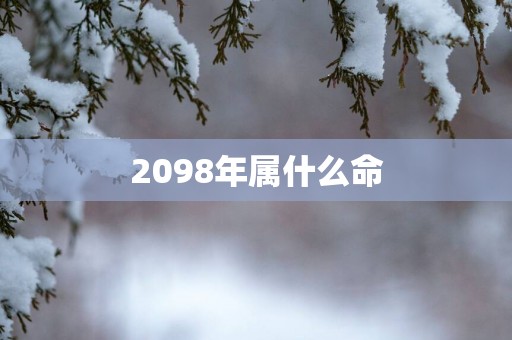 2098年属什么命