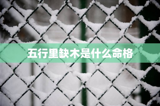 五行里缺木是什么命格