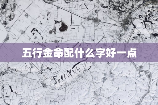 五行金命配什么字好一点