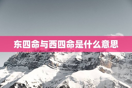 东四命与西四命是什么意思