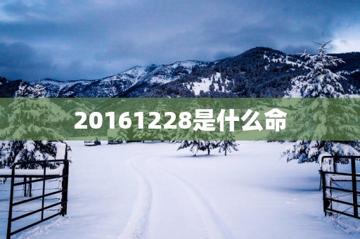 20161228是什么命