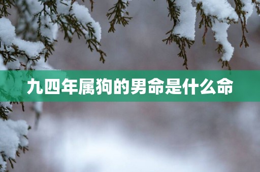 九四年属狗的男命是什么命