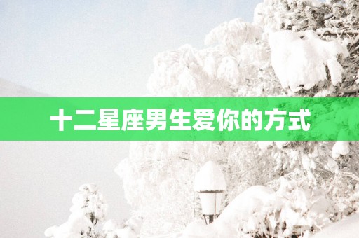 十二星座男生爱你的方式