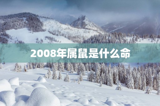 2008年属鼠是什么命