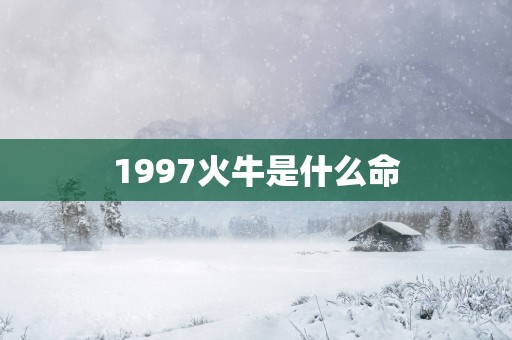 1997火牛是什么命