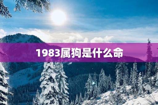 1983属狗是什么命