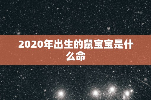 2025年出生的鼠宝宝是什么命