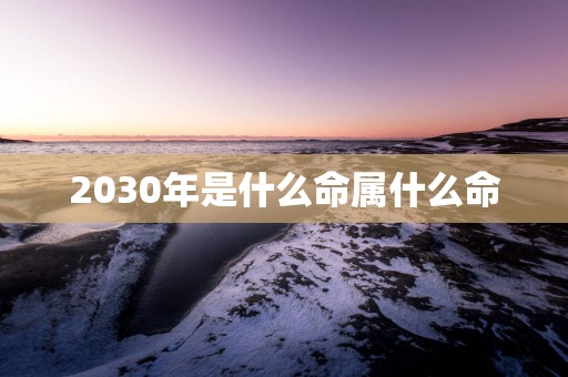 2030年是什么命属什么命