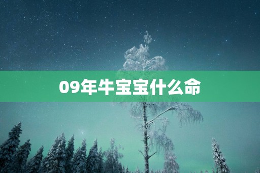 09年牛宝宝什么命