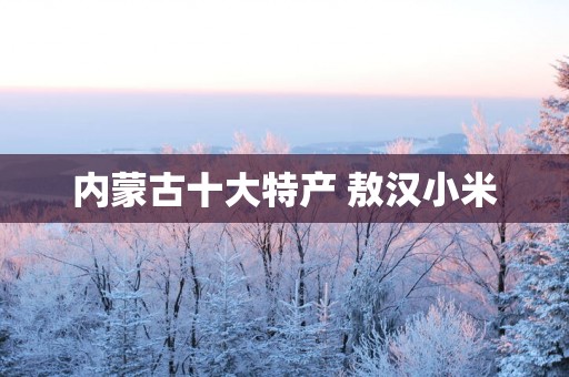 内蒙古十大特产 敖汉小米