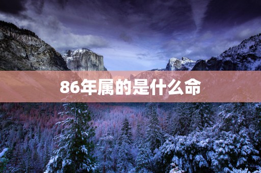 86年属的是什么命