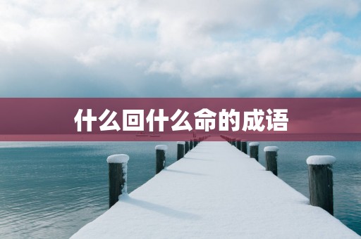 什么回什么命的成语