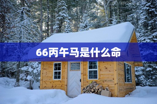 66丙午马是什么命