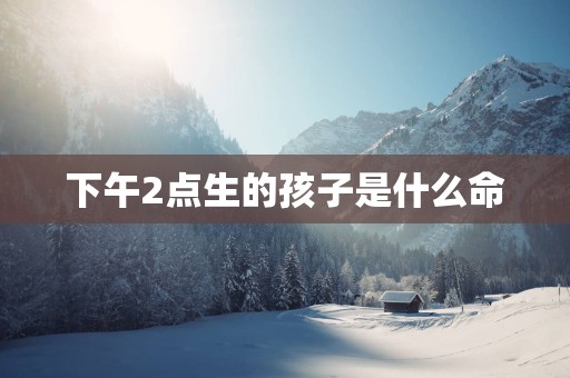 下午2点生的孩子是什么命