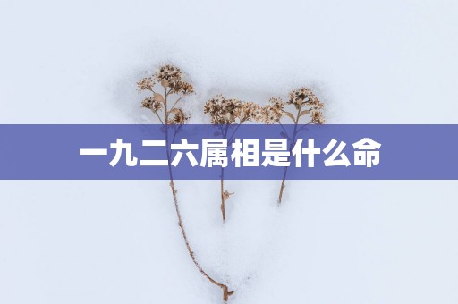 一九二六属相是什么命