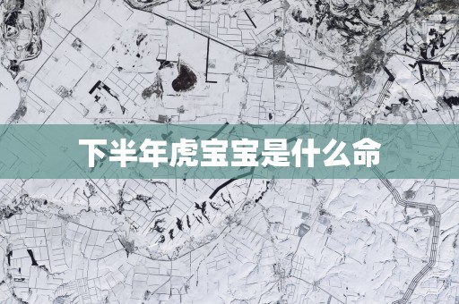 下半年虎宝宝是什么命