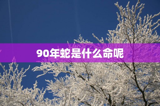 90年蛇是什么命呢