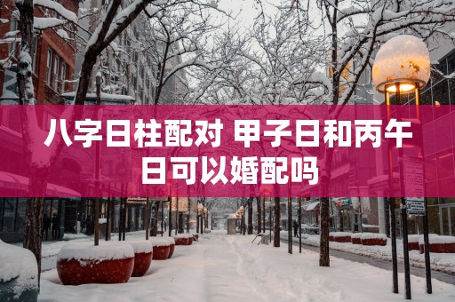 八字日柱配对 甲子日和丙午日可以婚配吗