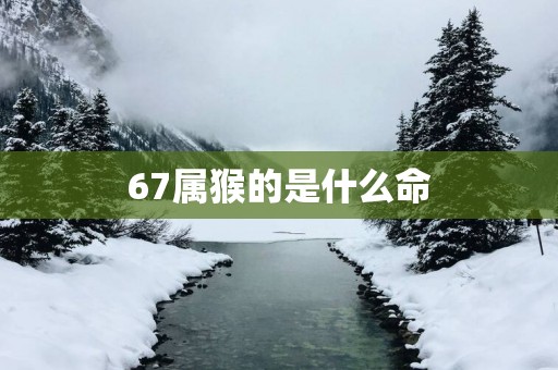 67属猴的是什么命