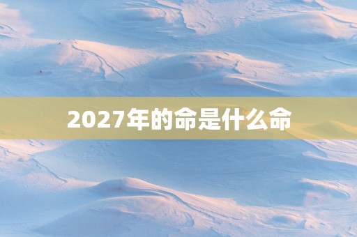 2027年的命是什么命