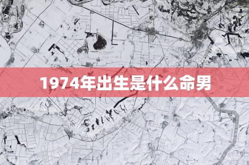 1974年出生是什么命男