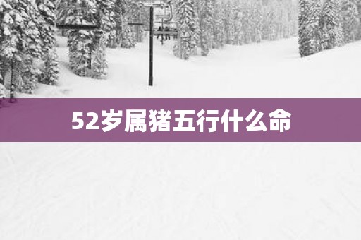 52岁属猪五行什么命