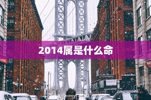 2014属是什么命