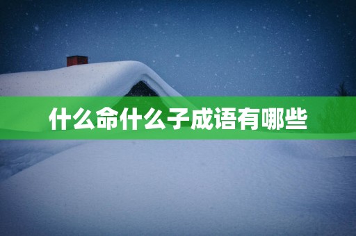什么命什么子成语有哪些