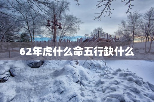 62年虎什么命五行缺什么