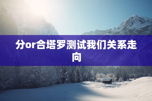 分or合塔罗测试我们关系走向