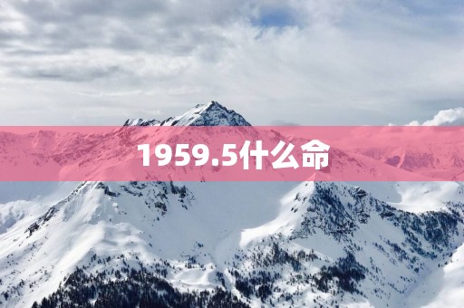 1959.5什么命