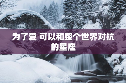 为了爱 可以和整个世界对抗的星座