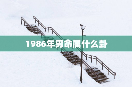 1986年男命属什么卦