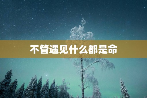 不管遇见什么都是命