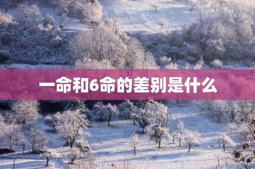 一命和6命的差别是什么