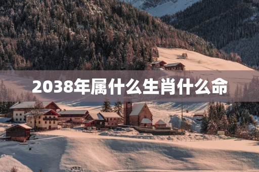 2038年属什么生肖什么命