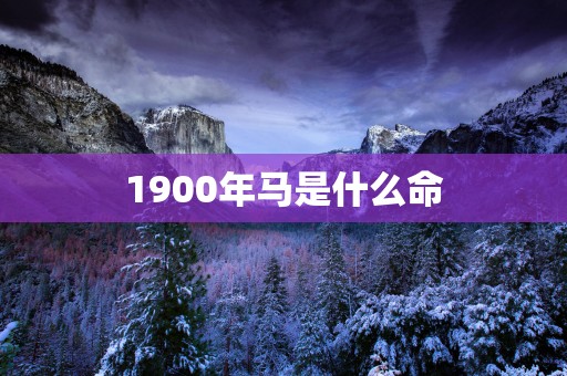 1900年马是什么命